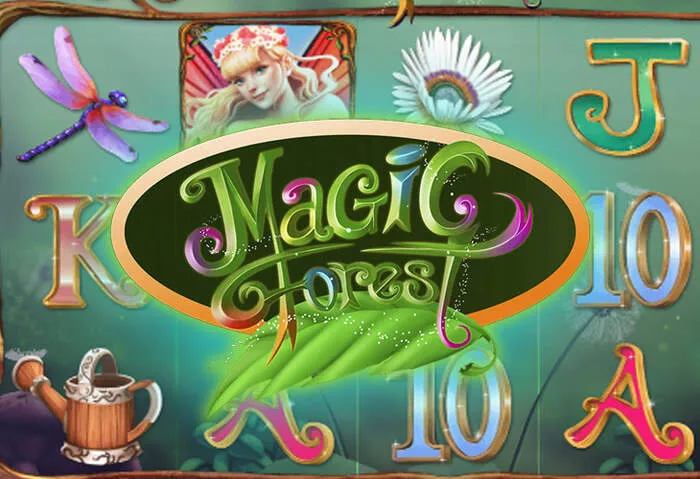 Diverse Play Conti Casino Table Games selection.