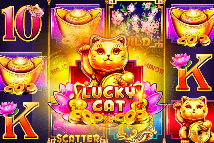 Meilleur Avis Conti Casino bonus et offres.