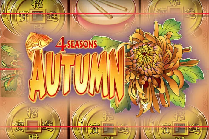 Apprenez à Jouer aux Jeux de Table Conti Casino.